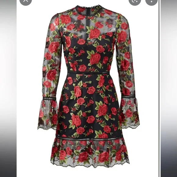 Beautiful rose dress by Saylor NY - Picture 2 of 10